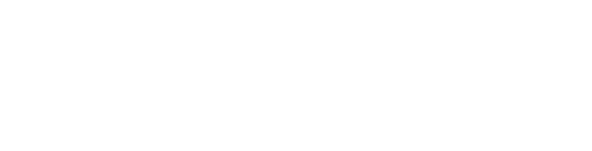 Visiocatch logo